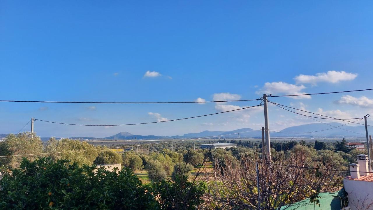 Makarios Apartment Near Athens Aiport Szpáta Kültér fotó