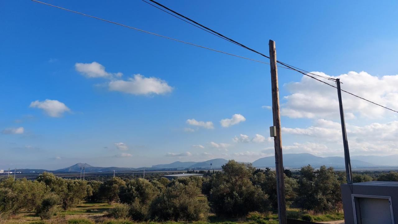 Makarios Apartment Near Athens Aiport Szpáta Kültér fotó
